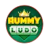 RUMMY LUDO APK Download